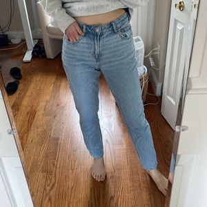 AE Strigid Mom Jeans